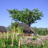 Myrtleberry Studio