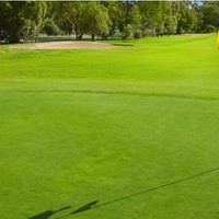 Ingol Golf Club
