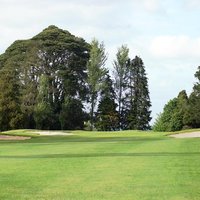 New Ross Golf Club