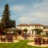 The Vineyard