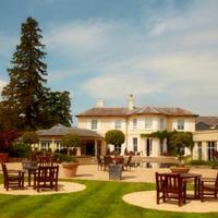 The Vineyard