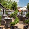 The Winchester Hotel and Spa
