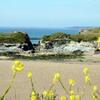 BEST WESTERN Porth Veor Manor Hotel