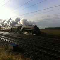THE SIDINGS ft IL TRENO