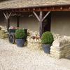 The Great Tythe Barn Accommodation