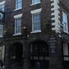 Pied Bull Chester