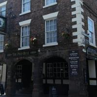 Pied Bull Chester