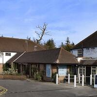 Tree at Cadmore End (Formerly Blue Flag)