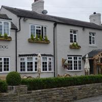 The Dog