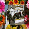 Kilbrannan Guest House