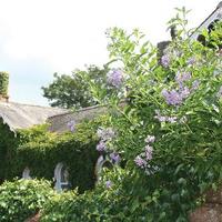 The Brantwood Hotel