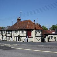 The Cherry Tree