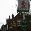 The Red Lion