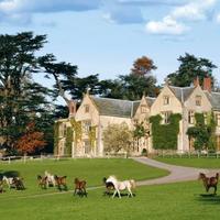 Combe House Devon