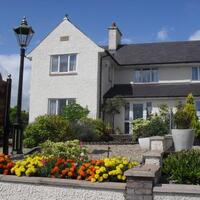 Mapletree Guesthouse