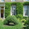 Ivy Guest House
