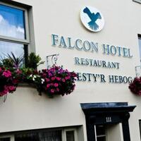 FALCON HOTEL