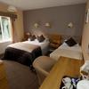 Beechwood Close Hotel