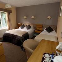 Beechwood Close Hotel