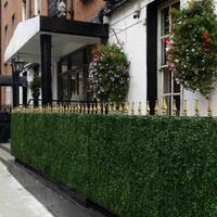 The Kildare Street Hotel