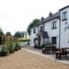 The Golden Fleece