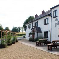 The Golden Fleece