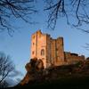 Roch Castle