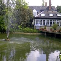 Orchard Pond Bed & Breakfast