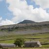 Dale House Farm