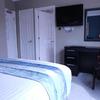 Dolphin Rooms