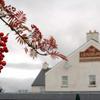 The Leadburn Inn