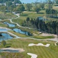 Tulfarris Hotel & Golf Resort